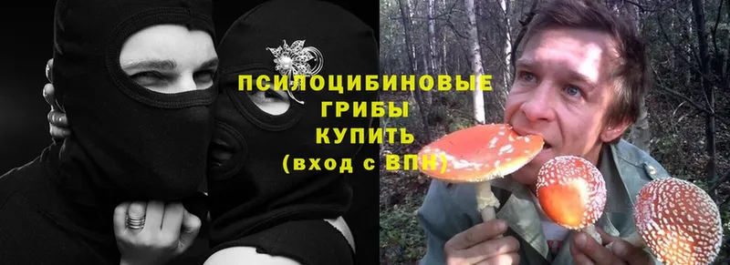 Псилоцибиновые грибы MAGIC MUSHROOMS  Амурск 